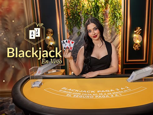 VIP Blackjack en Español 3 screenshot